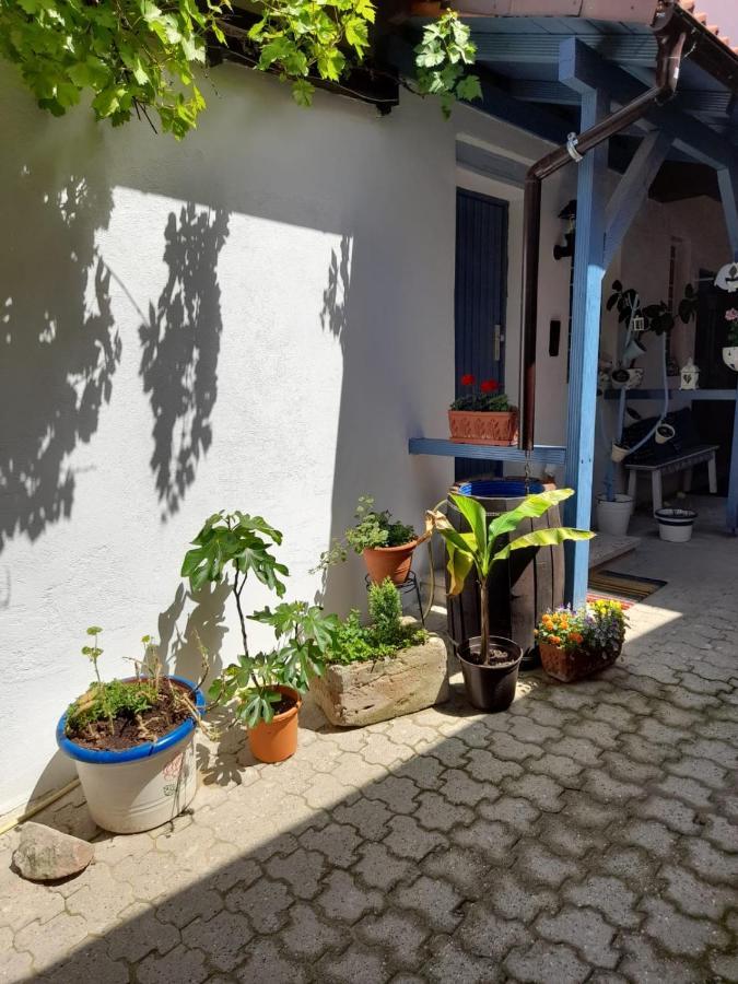 Ferienhaus Schick Und Fein Apartamento Bochingen Exterior foto